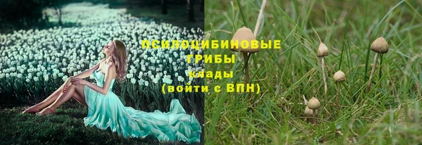 не бодяженный Абдулино